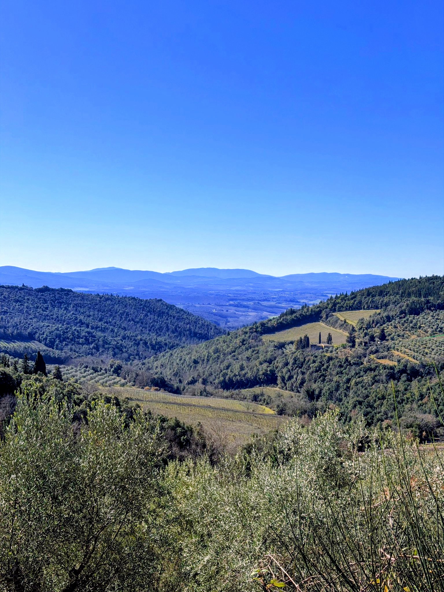 Colle Val d\'Elsa Tour