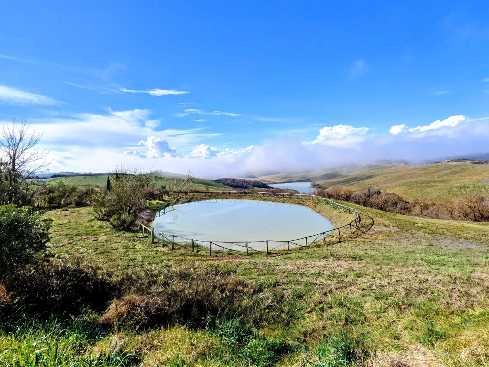 Crete Senesi Vescona