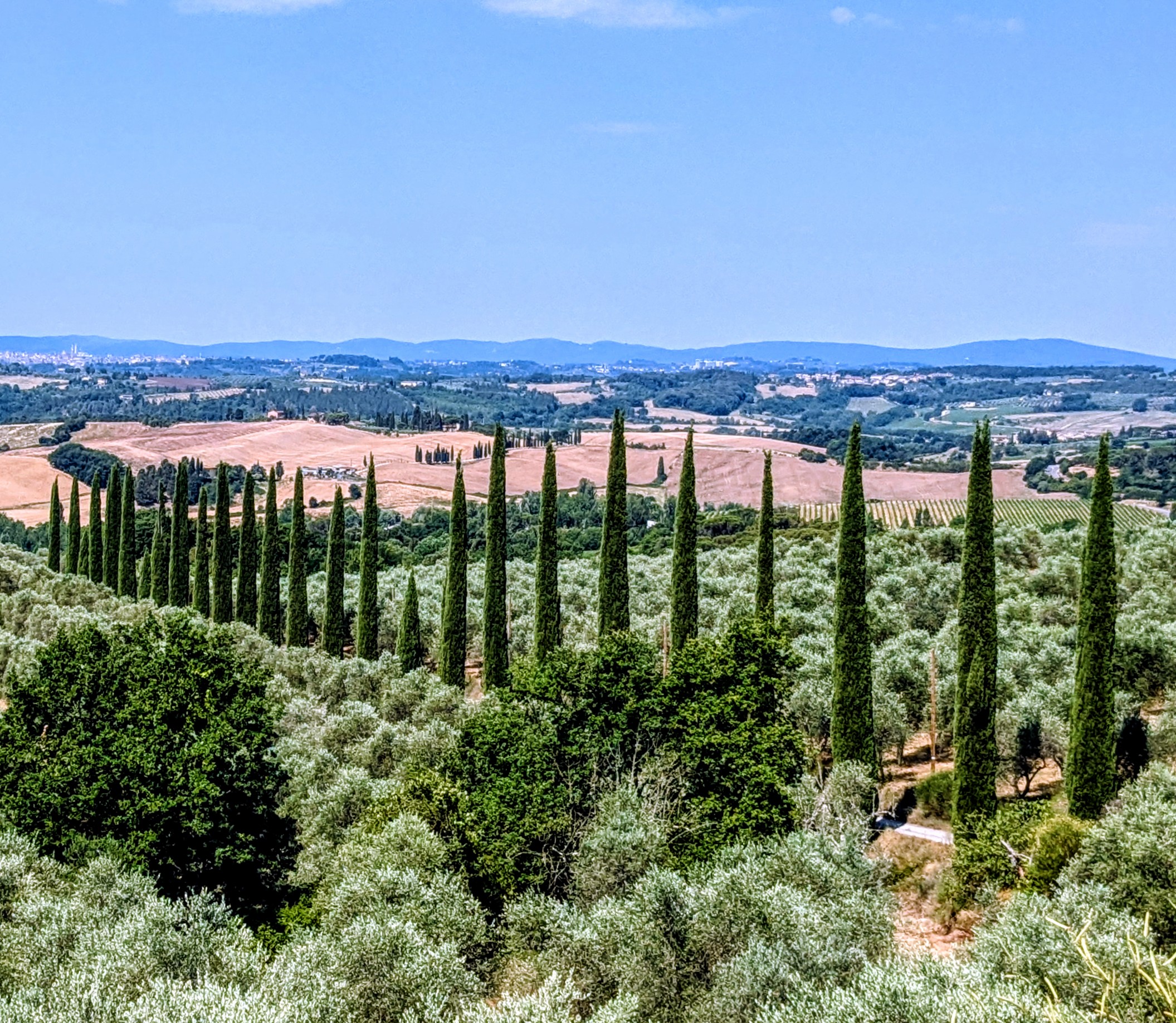 Morning ride to Castelnuovo Berardenga
