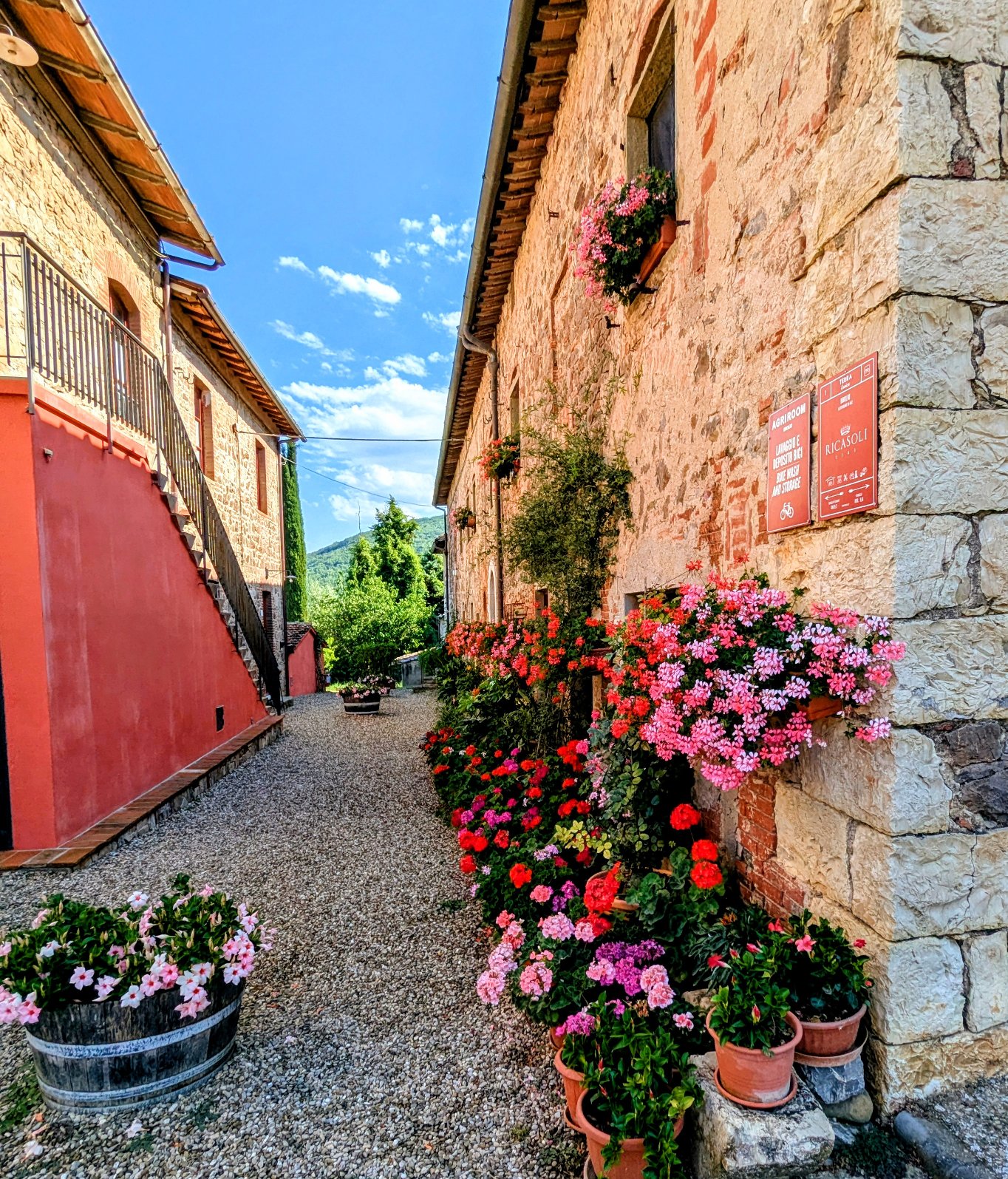 Florence Cycling to Brolio