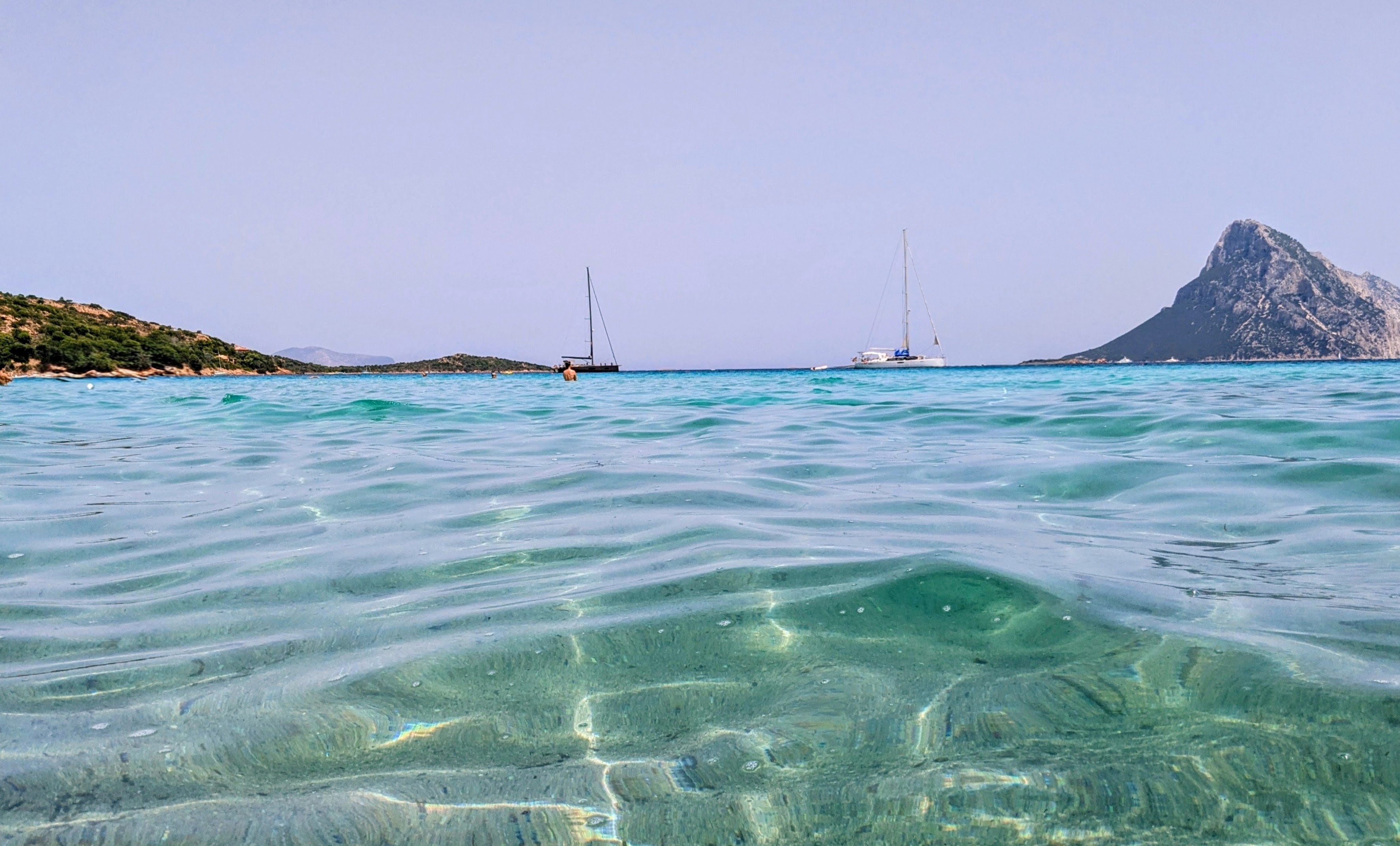 Tavolara Swimming