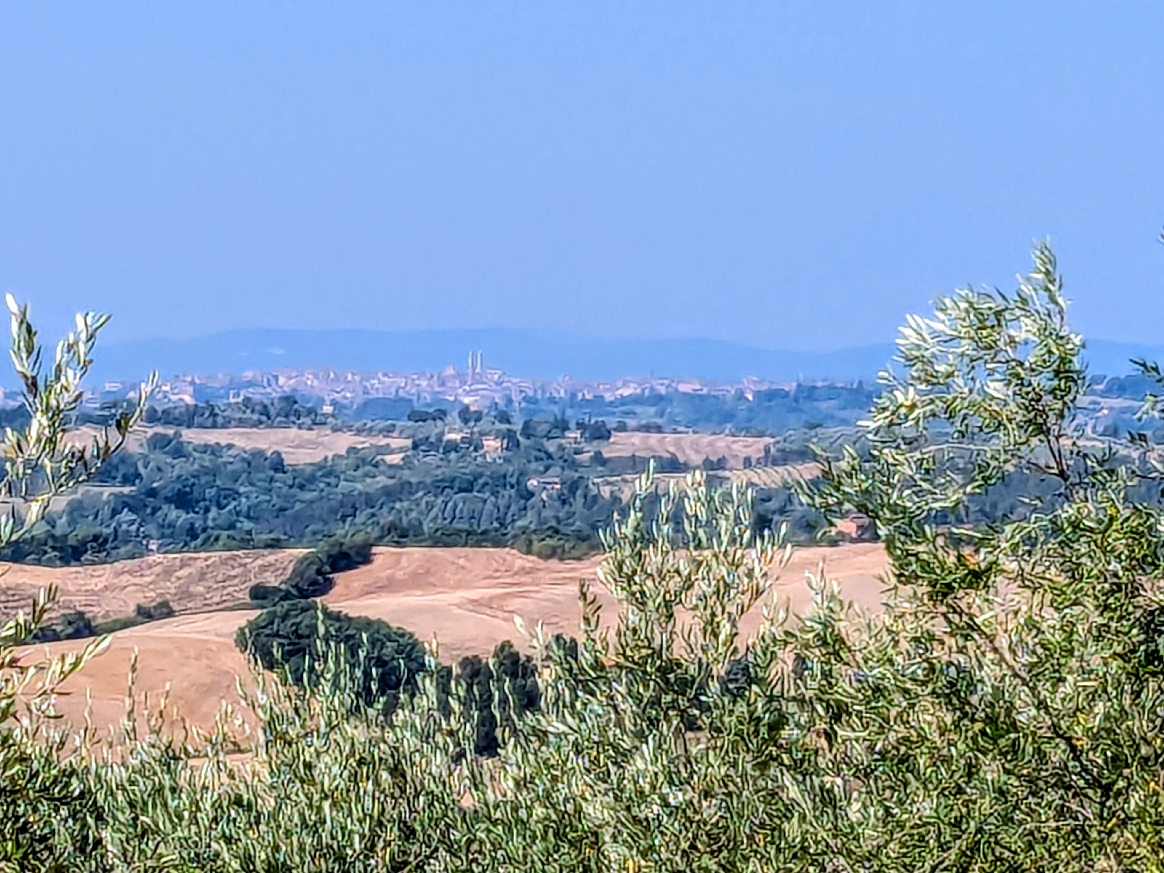 Florence Road Cycling: Curina Round