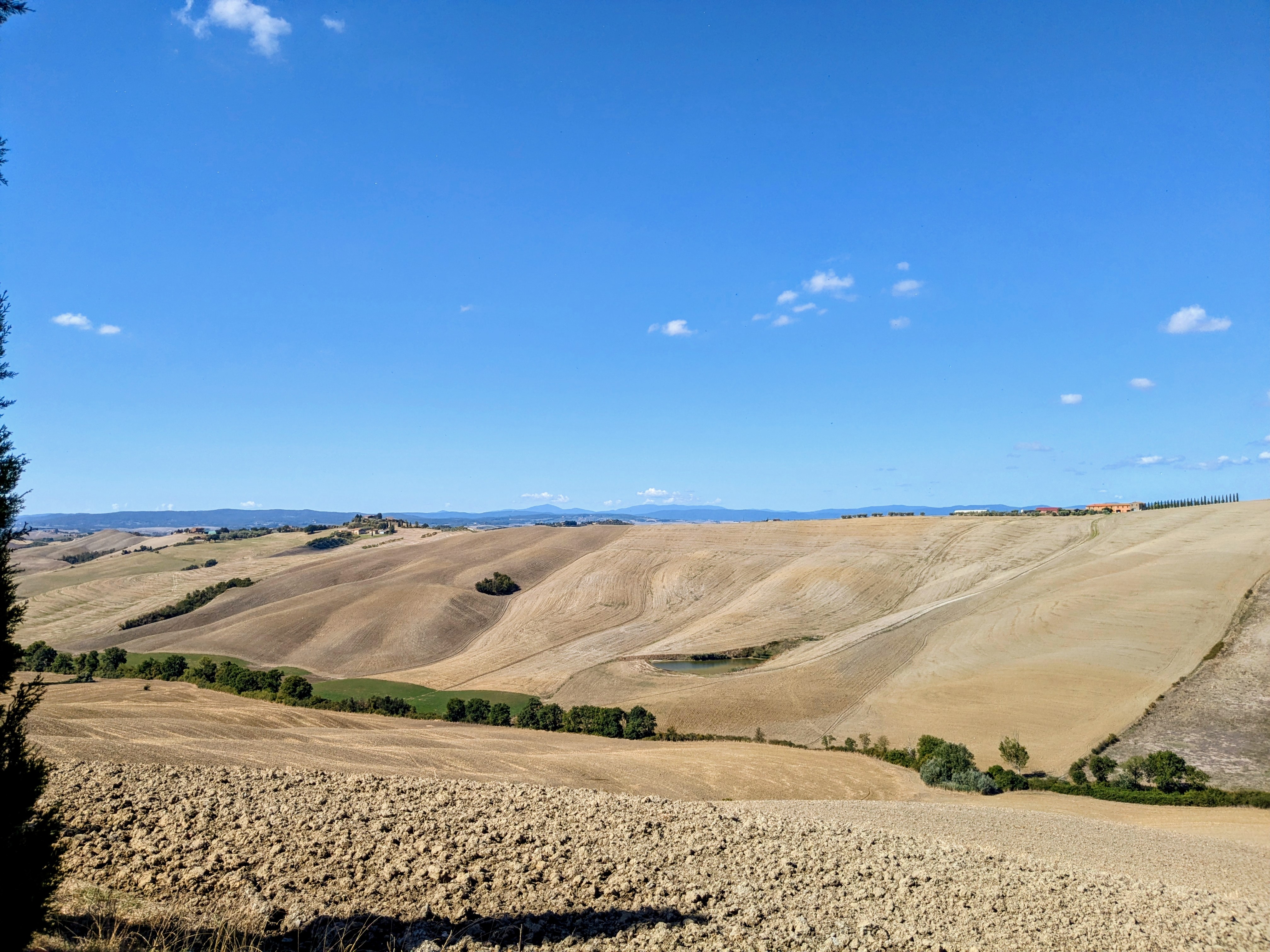 Florence Cycling to Asciano