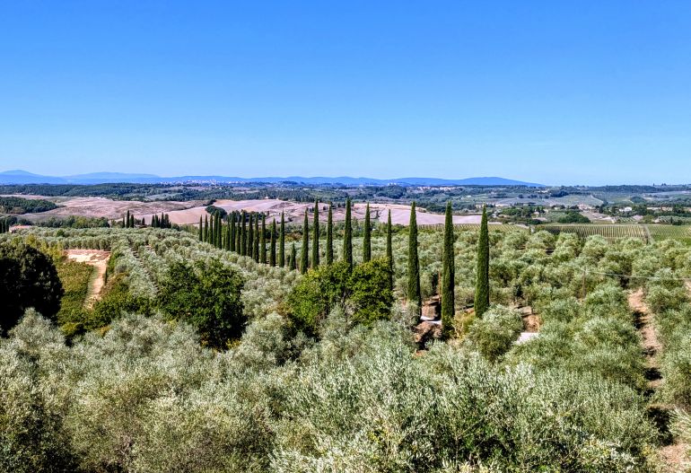 Florence Cycling to Castelnuovo Berardenga