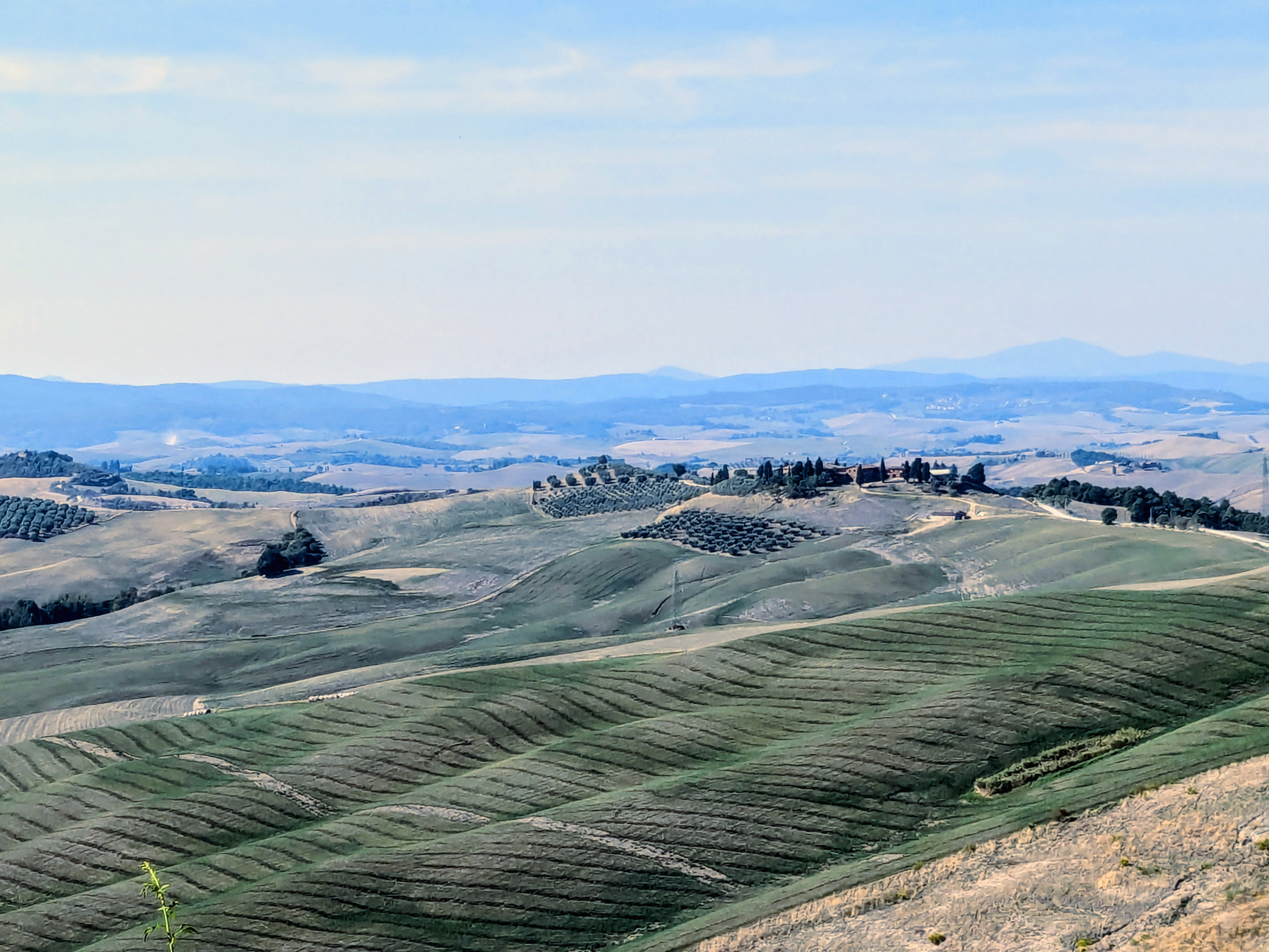 Asciano for the Eroica day