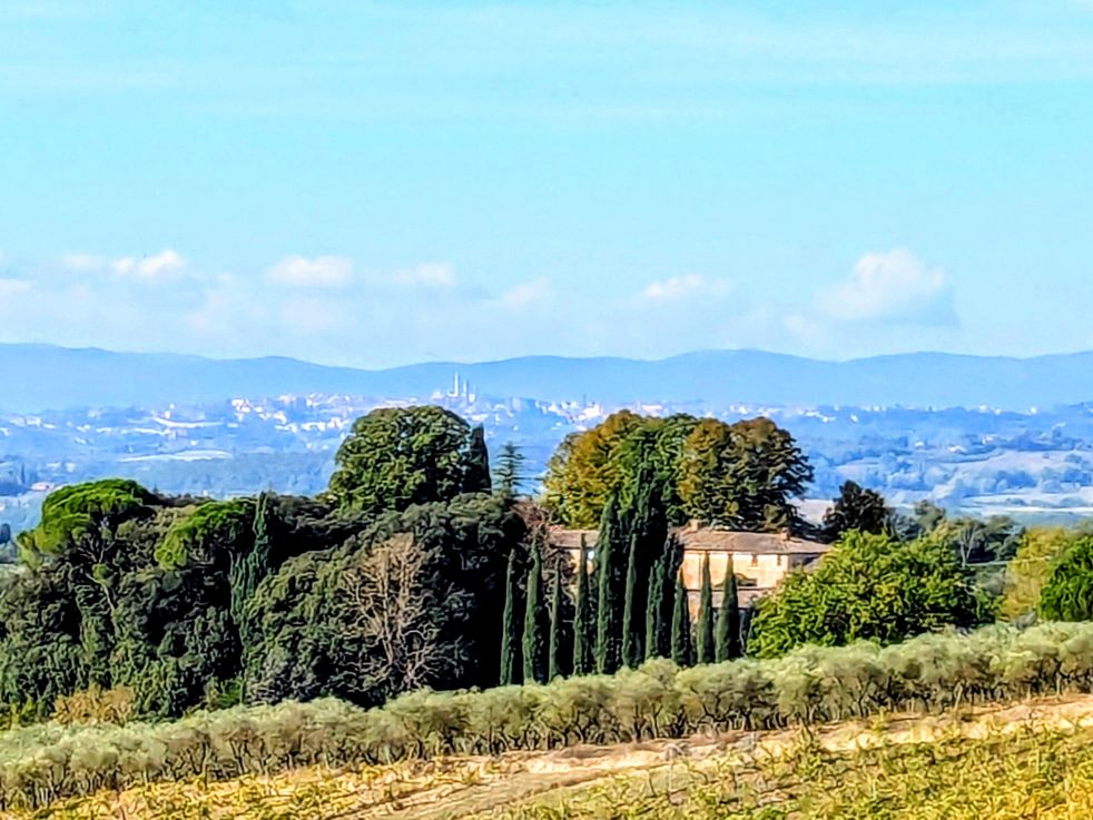 Florence Cycling Castelnuovo Berardenga Tour