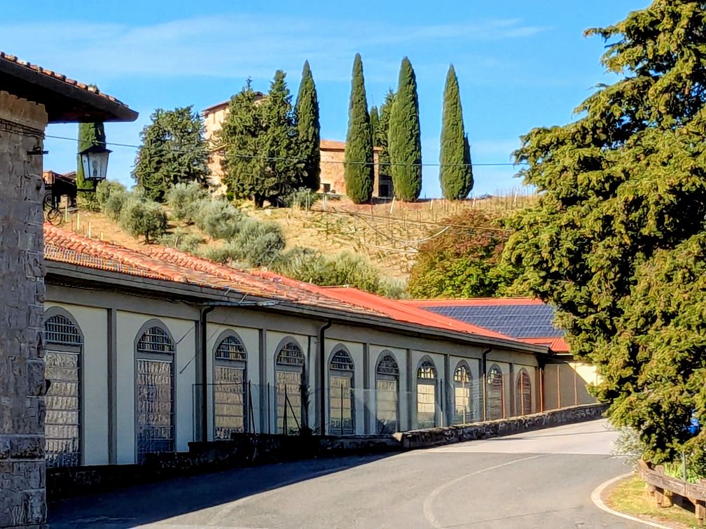 Florence Cycling Castelnuovo Berardenga Tour