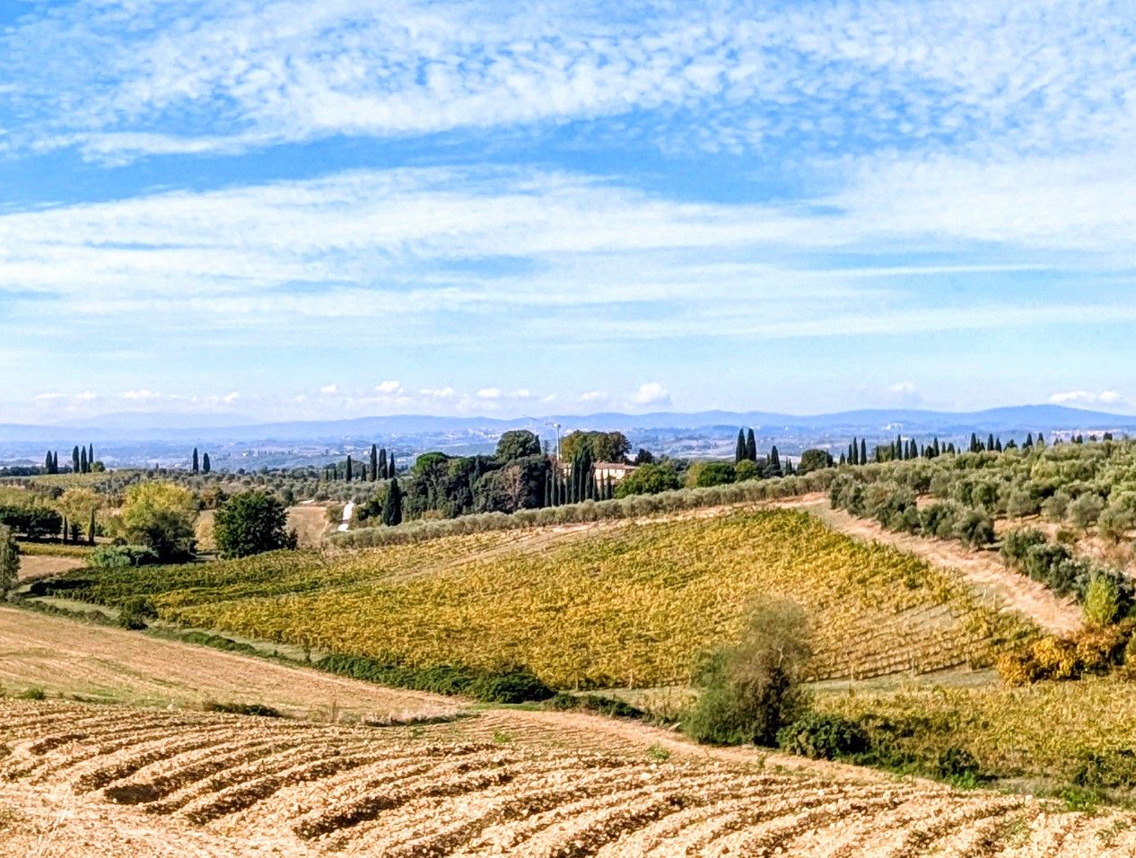 Florence Cycling Castelnuovo Berardenga Tour