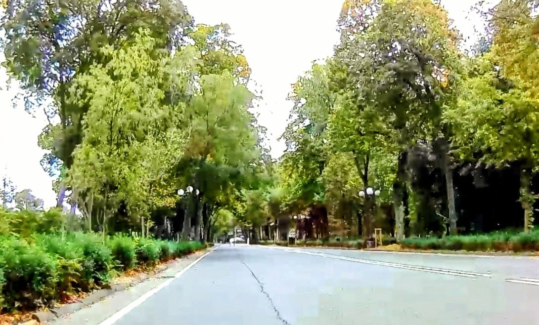 Florence Cycling San Casciano Tour