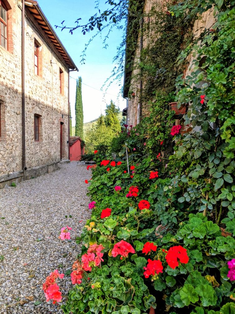 Florence Cycling San Gusme'