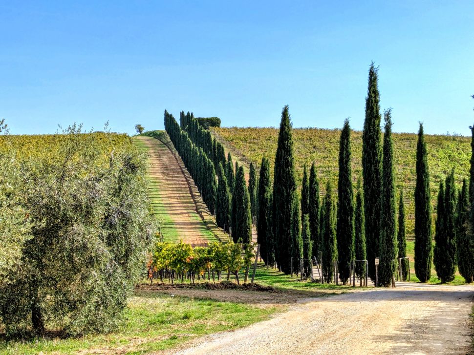 Florence Cycling San Gusme'