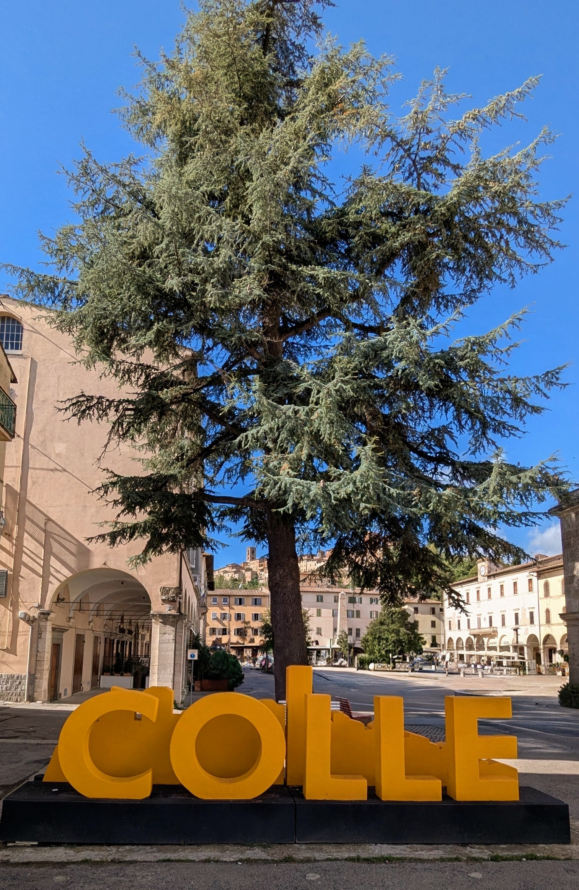 Florence Cycling Monteriggioni tour