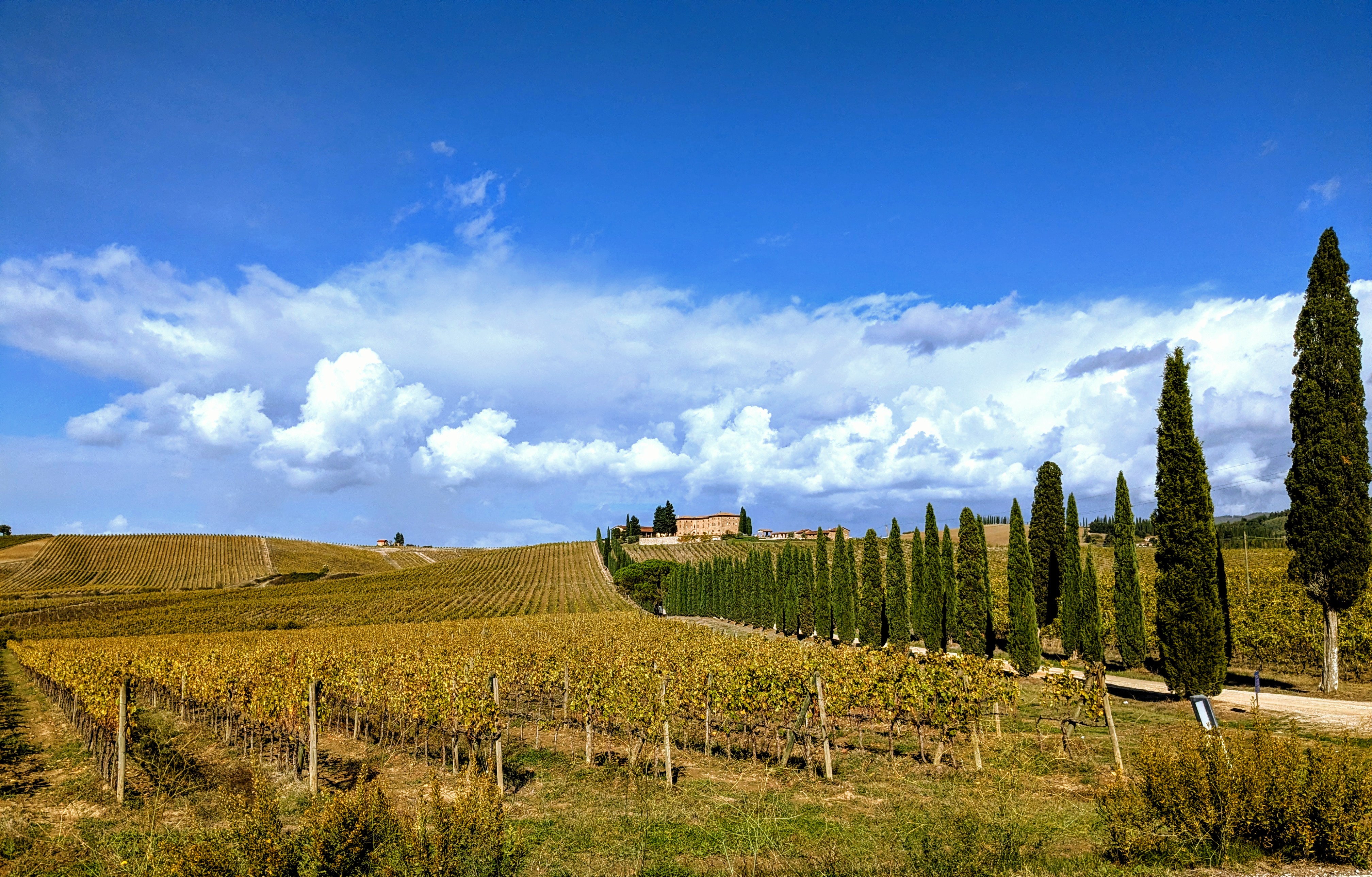 Florence Cycling Monteriggioni tour