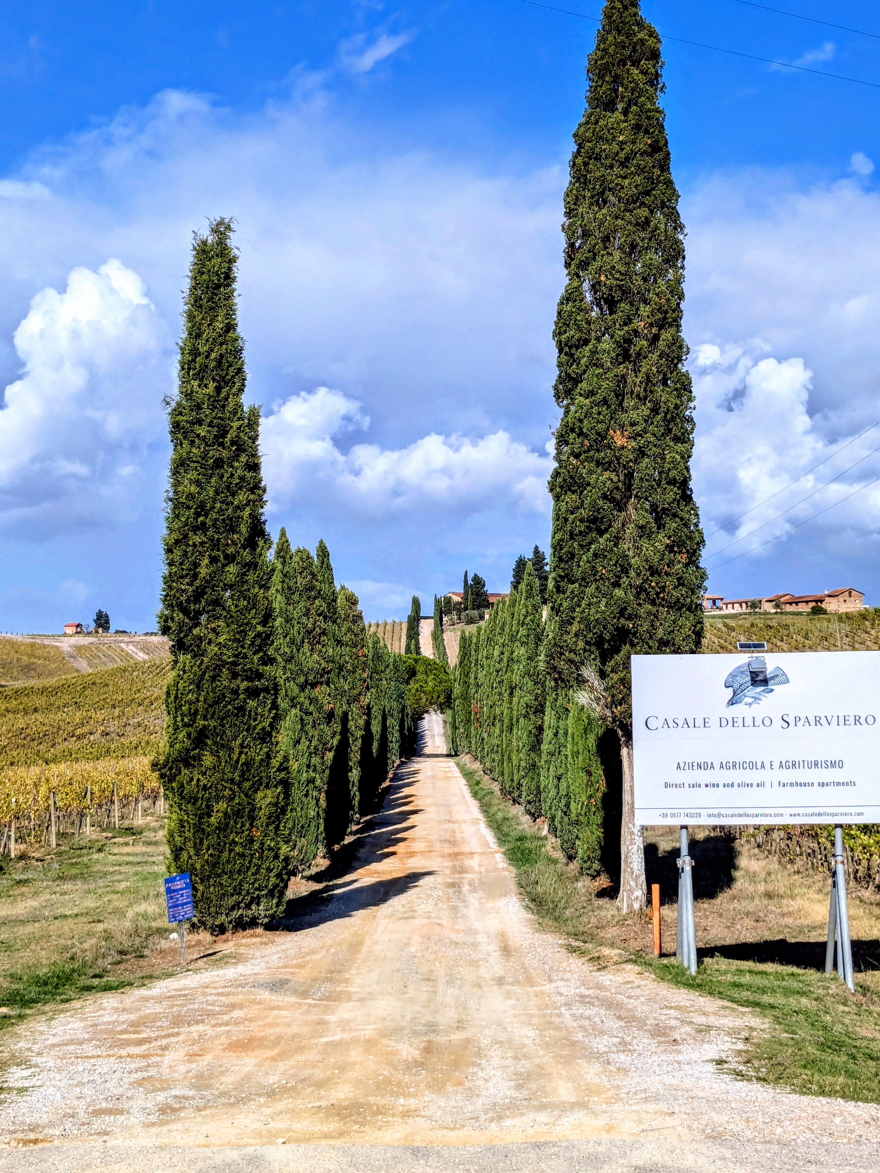 Florence Cycling Monteriggioni tour