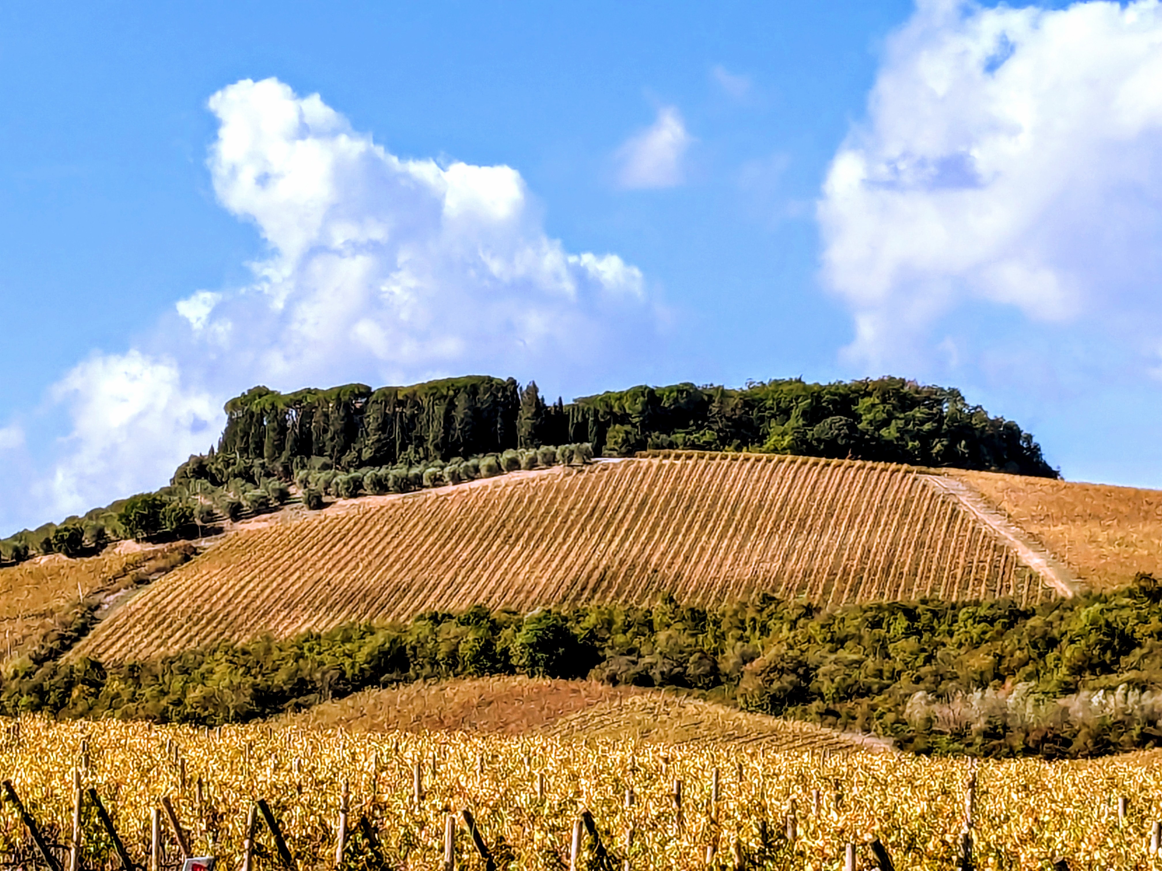 Florence Cycling Monteriggioni tour