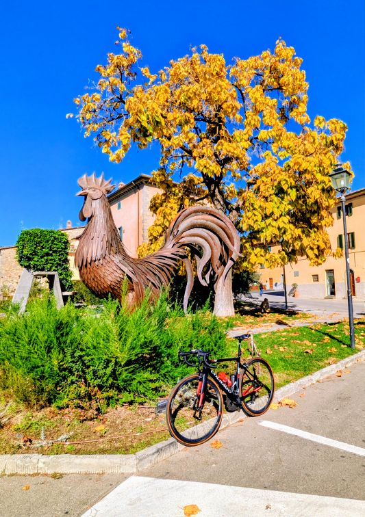 From Florence through San Casciano, Castellina, Radda, Gaiole, Cavriglia, San Giovanni Valdarno, Reggello and back to Florence.